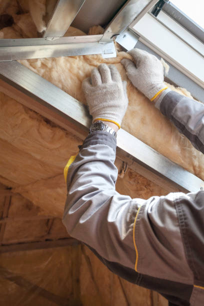 Best Wall Insulation Contractor  in Citrus, CA